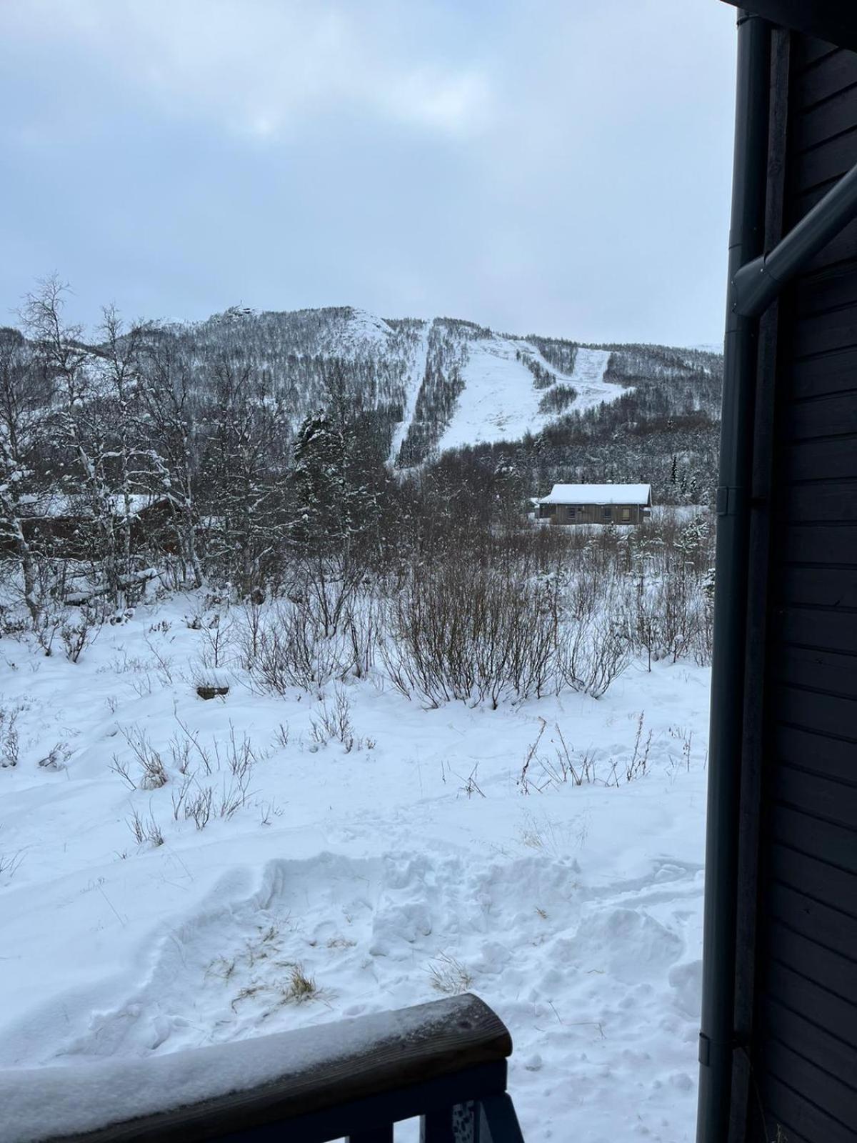 Appartement Rett Ved Raudalen Alpinanlegg à Beitostolen Extérieur photo